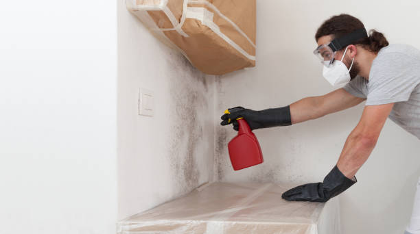 Professional Mold Removal technician working in Holly Springs, NC