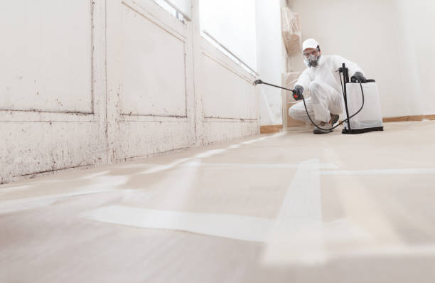 24/7 Emergency Mold Removal experts in Holly Springs, NC
