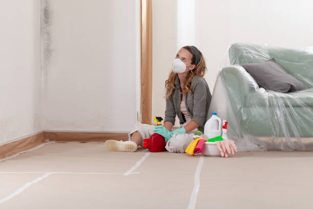 Reliable Mold Removal contractor in Holly Springs, NC by 24 Hour Mold Removal